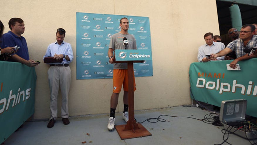 Dolphins Turmoil Foot_Cham1107132.jpg